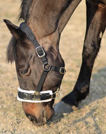 Теке Лонжера з флісовим наповнювачем, повідком та вуздечкою, чорний колір, розмір Cob (M)
