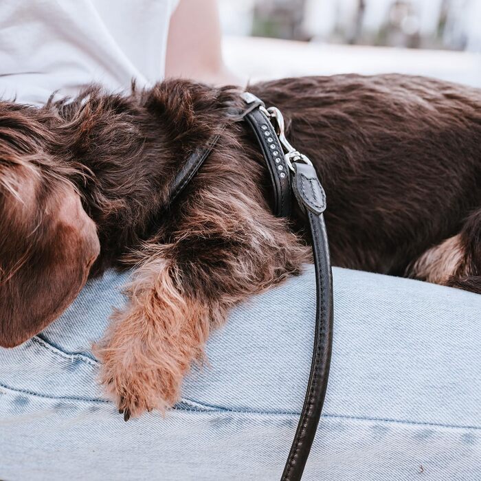 Нашийник для собак HUNTER Round & Soft Canadian UP, чорний, м'яка шкіра, фелл-френдлі, Made in Germany