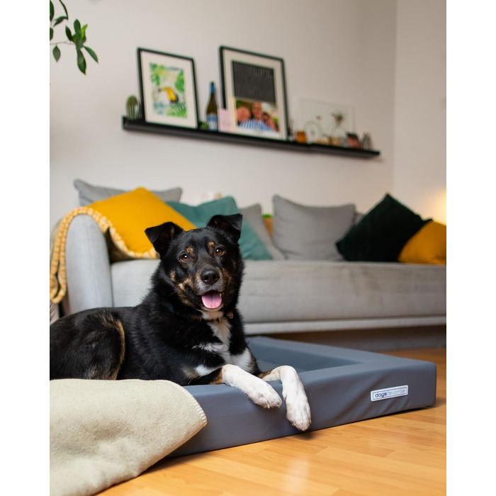 Крісло-лежанка для собак, лежанка для собак, м'яке крісло-лежанка для собак, розмір M, 90 x 70 см, білий