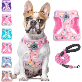 колір: роза ганзеблюмхен