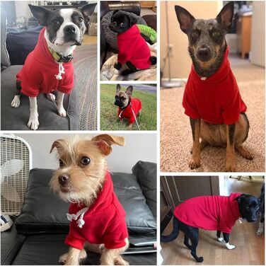 Світшот для собак BINGPET з капюшоном, флісова підкладка, теплий, м'який, для осені/зими, для малих, середніх та великих собак та котів