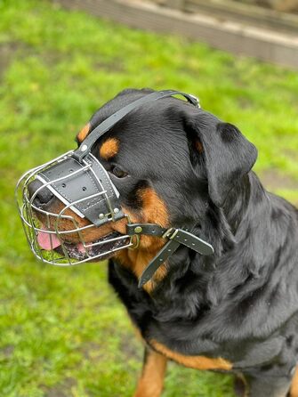 Міцний нашийник-маска для собак з металевої сітки, Rottweiler, Mastiff, Golden Retriever (R2, сріблястий/чорна шкіра)