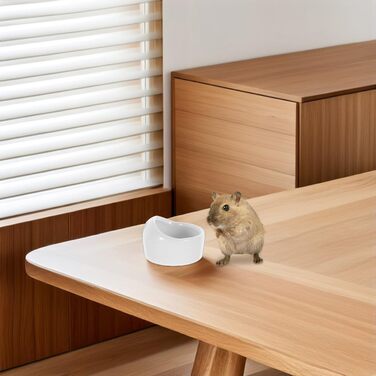 Набір мисок для гризунів Ipetboom (2 шт.) - білі миски для води та їжі для хом'яків, кроликів, морських свинок, мишей (середній)