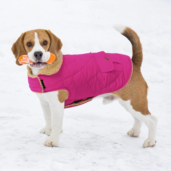 Зимовий теплий одяг для собак: куртка з флісу, тепла сорочка для чихуахуа, такса, рожева, розмір L