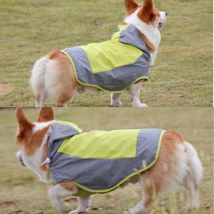 Водонепроникний дощовик для собак, регульований, з відбиваючими смугами та капюшоном, для прогулянок на відкритому повітрі, для маленьких, середніх та великих собак (зелений, XXL)