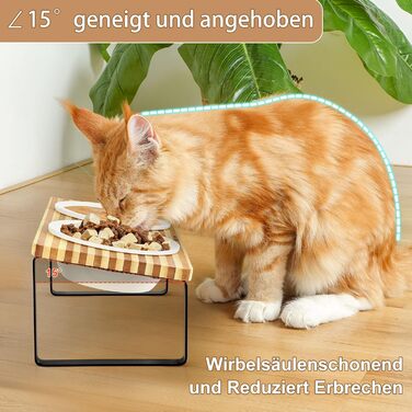 Підвищена годівниця для котів GUUSII HOME: керамічний набір для їжі та води | Ергономічна годівниця для котів з піднятою платформою
