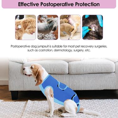 Комбінезон для собак після операції ASENKU: захист ран, анти-витік, альтернатива конусу (M, блакитний)
