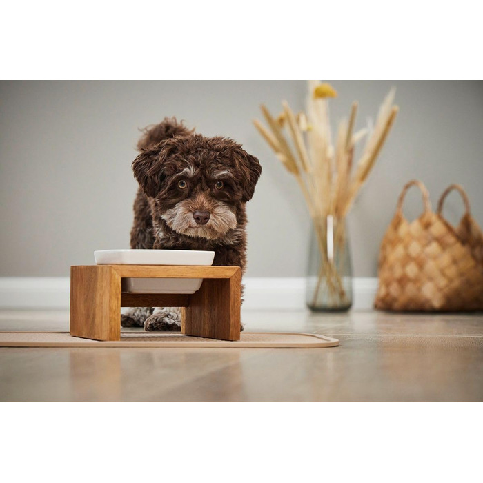 Replus Meshidai: Миска для корму з текового дерева, 0.4 л, True S