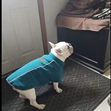 Теплий зимовий костюм для собак BoxDog з поларфлісу, блакитний | для маленьких собак, тепла піджака для собак