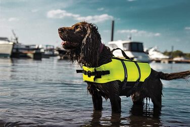 Спасальний жилет для собак Nobby, розмір S, 30 см, жовтий, до 10 кг