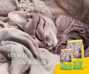 Сухий корм для котів Josera SensiCat для чутливих кішок з птицею, 10 кг