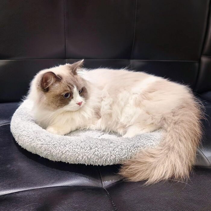 Килимок для кота 