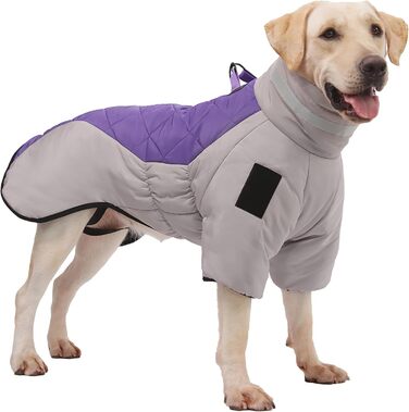 Водонепроникний дощовик для собак середніх та великих порід від ALLSOPETS, тепла зимова куртка з світловідбиваючими смугами, вбудованим повідком, вітрозахисний, для холодної погоди (Королівський фіолетовий, 4XL)