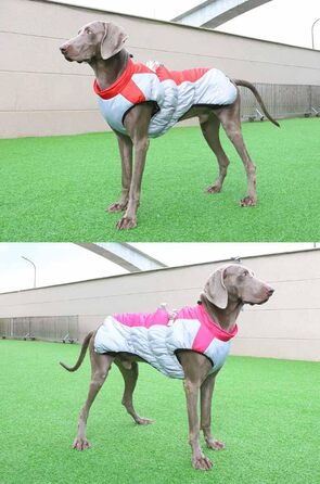 Зимова куртка для собак з металевою застібкою для повідка, тепла безрукавка для собак, відображаючий пуховик для собак, водонепроникний для великих собак (червоний, 4XL для 20-30 кг)