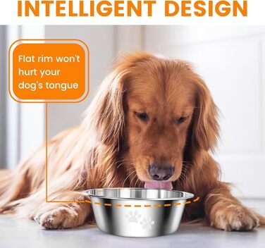 PETTOM Миски для собак з нержавіючої сталі, 2 шт. (3120 мл), миски для корму для собак великих, середніх та маленьких порід, миски для води для собак, антиковзкий силіконовий низ, розмір M - 21 см, сріблясті