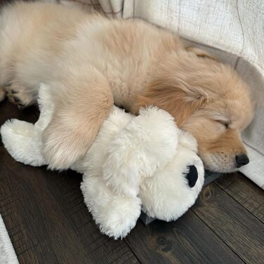 Інтерактивна іграшка для цуценят SmartPetLove Snuggle Puppy Junior із імітацією серцебиття, заспокійлива м'яка іграшка для сну (золота)
