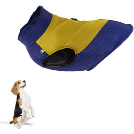 колір: жовтий