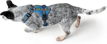 Нашийник для собак HUNTER Maldon, блакитно-сірий, м'який, з 3M Scotchlite, регульований, з ручкою, S-M