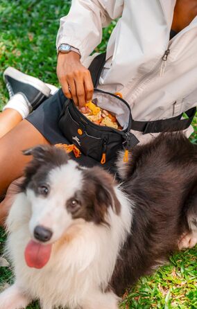 ОлліДог Backcountry Tagestasche: Сумка для ласощів та відходів для собак, з відсіком для кульок, на пояс (Raven S'25)