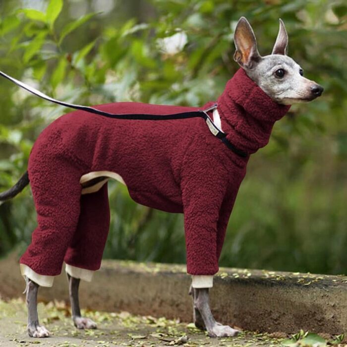 Зимовий комбінезон для собак – теплий флісовий костюм з принтом грейхаунд, комір-стійка, одяг для чотирилапих афганців (G, XL)