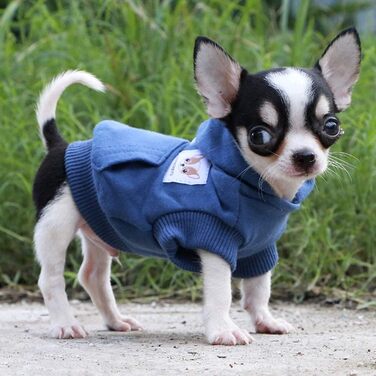 Світшот для собак LOPHIPETS з бавовни, для маленьких собак, чихуахуа, цуценят, на холодну погоду, темно-синій, розмір XXS (1 шт.)