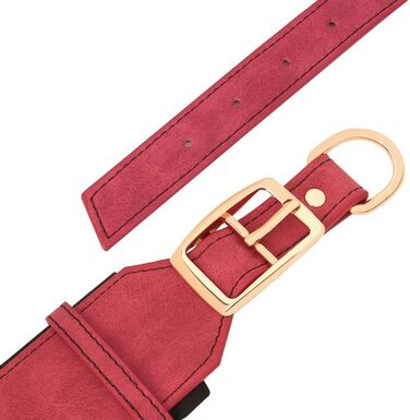 Нашийник для собак середніх та великих порід PET ARTIST з міцної PU шкіри, з гравіюванням, металева застібка, L (M: Neck 33-41см, Width 3см), червоний