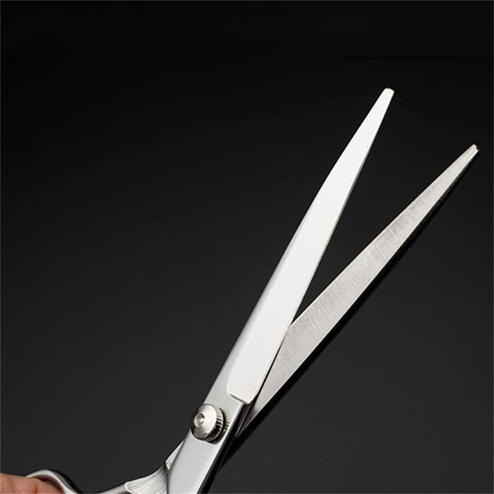 Набір професійних ножиць та гребінців для грумінгу домашніх тварин, 6.0 дюймів, нержавіюча сталь