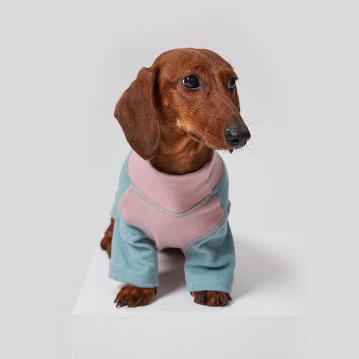 Світшот-куртка для собак Дакль, бавовняний пуловер, комбінезон для мініатюрних даклів, піжама, одяг для тварин з двома ніжками, з довгими рукавами, еластичний, м'який, зручний, рожева футболка для домашніх тварин S