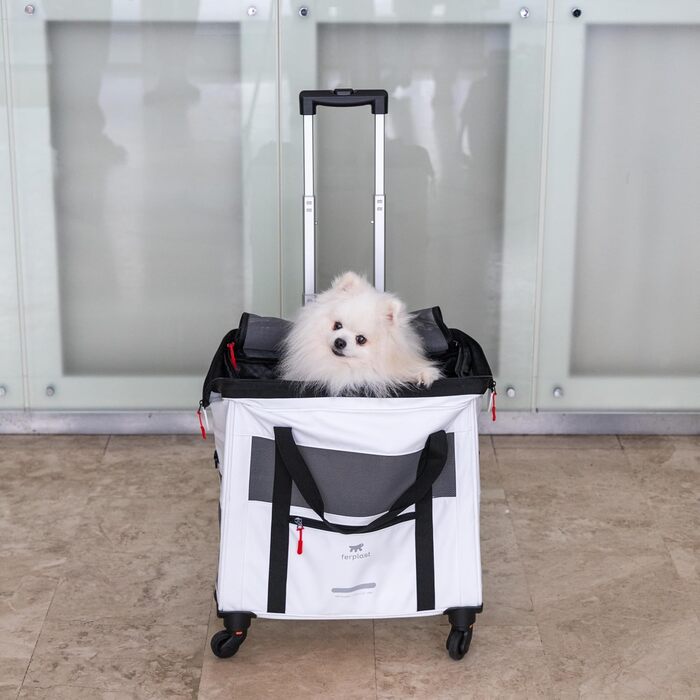 Транспортна переноска для собак та котів Ferplast Voyager Trolley, біла, з висувним ручками та колесами, до 15 кг, 46 x 26 x 48 см