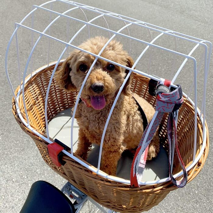 Велосипедний кошик для собак Rixen und Kaul KlickFix Doggy Basket Plus з кріпленням KorbKlip