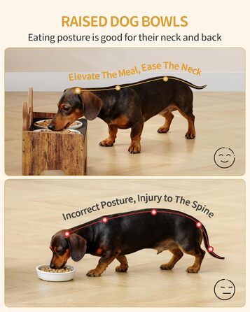 Підвищена годівниця для собак Hzuaneri з двома мисками, нержавіюча сталь, захист від бризок, антиковзаюча, безшумна, для малих та середніх собак, вінтажний коричневий, PB01601B