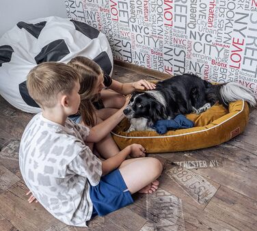 Ортопедичне ліжко для собак середніх порід 95x65 см Hazelnut (S 70x50, Жовтий)