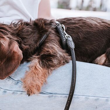 Нашийник для собак HUNTER Round & Soft Canadian UP, чорний, м'яка шкіра, фелл-френдлі, Made in Germany