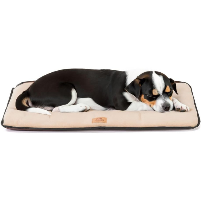 Килимок для собак Ferplast - лежанка-софа для середніх собак, двосторонній, з міцної та водонепроникної тканини, теплий мікрофліс, 65 x 48 x 3,5 см, бежевий