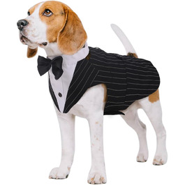 колір: смугастий