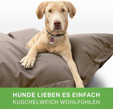 Ліжко для собак середніх та великих порід 140x180 см: подушка, килимок, місце для сну, ліжко для тварин, диван для собак, ліжко для сну, матрац для собак. Бежевий колір.