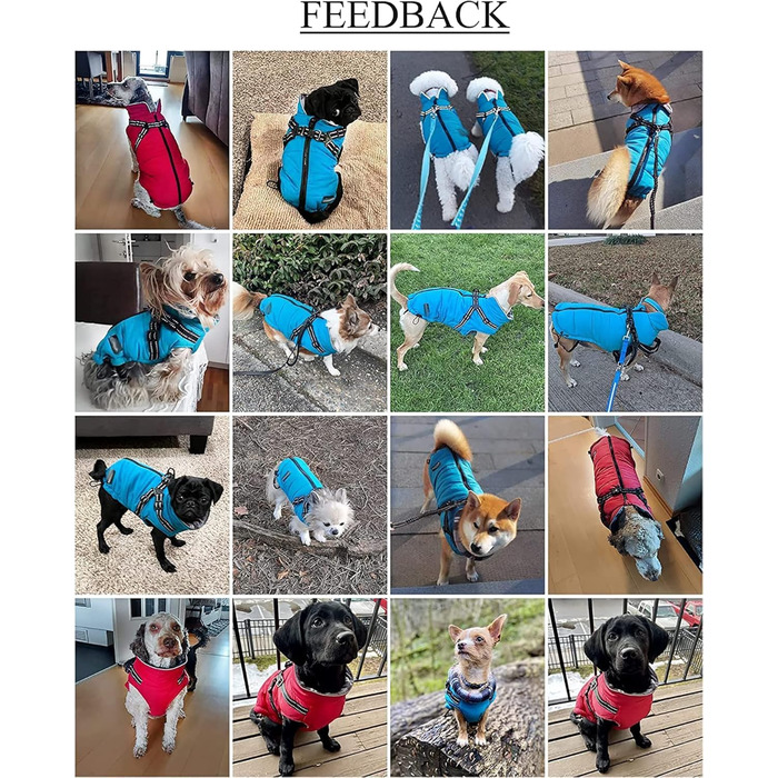 Зимові куртки для собак, шлейки, водонепроникна куртка з флісовою підкладкою, відображаюча, персоналізована, оранжевий, XL (довжина спини 44 см), XXL (довжина спини 52 см), зелений