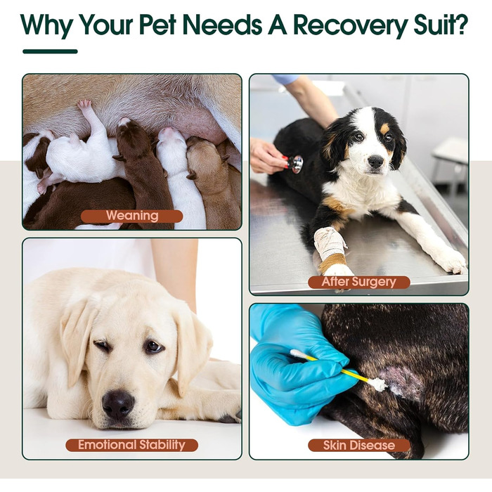 Захисний одяг Kuoser M для собак після операції (для сук та кобелів) – дихаючий захисний костюм, альтернатива електронному нашийнику. Розміри: спина 34-41 см, груди 49-59 см, чорний