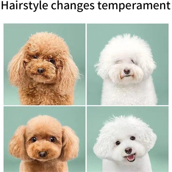 Ножиці для собак, вигнуті, професійні, з нержавіючої сталі. Ножиці для грумінгу собак та котів