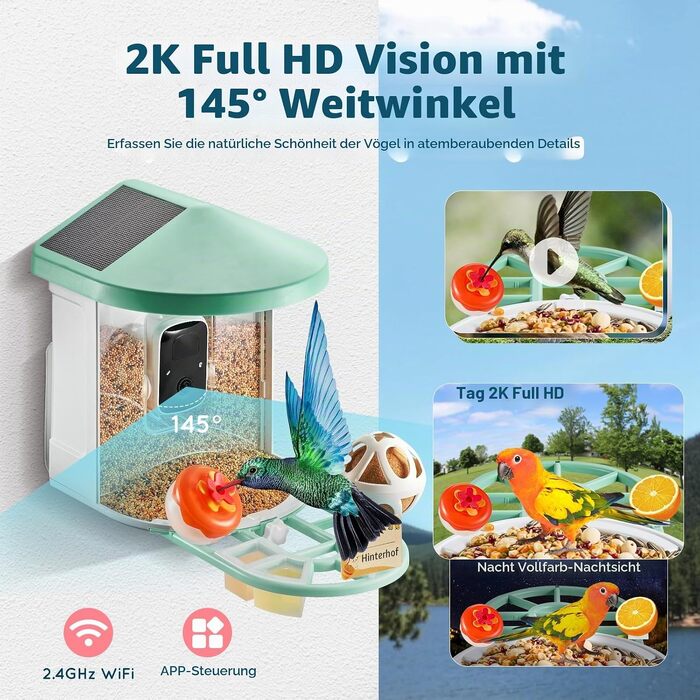 Годівниця для птахів VEVOR з камерою 2K HD, ШІ-розпізнаванням понад 10 000 видів птахів, сонячною панеллю та автоматичним записом (Зелена)