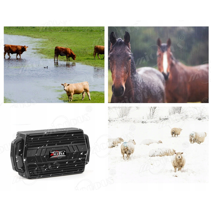 GPS-нашийник-трекер TK935 для тварин (собак і котів) з функцією SOS та мобільним додатком