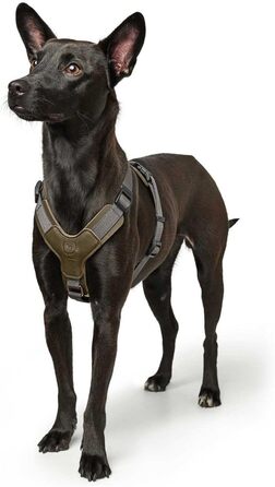 Нашийник для собак HUNTER AALBORG IXED, оливково-сірий, розмір M-L, з натуральної шкіри та нейлону, 5-рівневе регулювання, легкий, з пластиковими застібками, зроблене в Німеччині