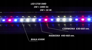 LED-освітлення для акваріума 60 см 5630 Spectrum II