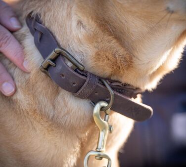 Сплетене шкіряне ошийник для собак – Міцний ручної роботи з преміум-шкіри буйвола Clarissa (M (36.0-45.0cm))