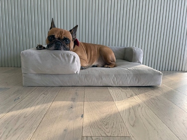 Лежак для собак Montclair