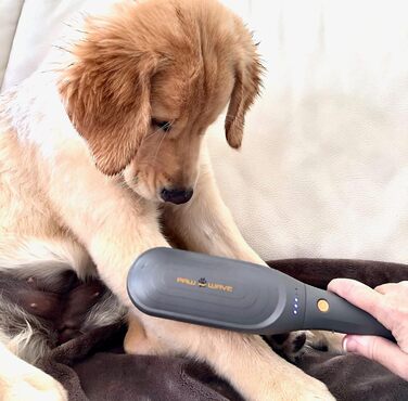 PAW WAVE Buzz терапевтична щітка з вібромасажем для собак і котів, для зняття напруги та покращення кровообігу, масажер для м'язів домашніх тварин