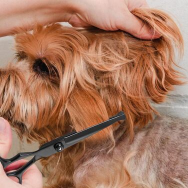 Набір професійних ножиць для собак 6-в-1 з круглим наконечником, чорний нержавіючий сталь, з серветкою для догляду за шерстю собак, котів та інших тварин