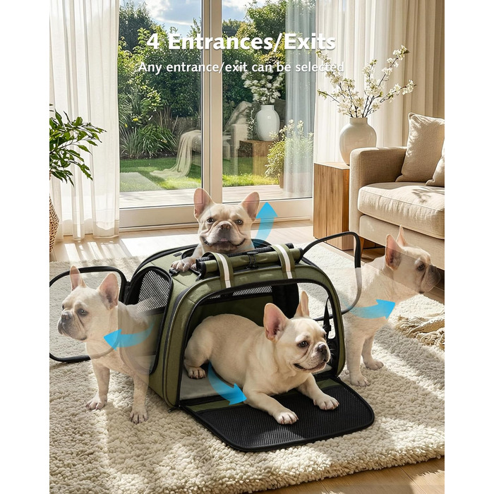 Переноска для котів та собак Pecute XL (55x38x35 см) - складна сумка-переноска з вікном, м'яким килимком, для авто, подорожей, ветеринара, зелена