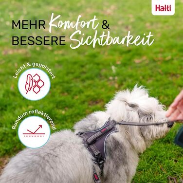Шлея для собак Company of Animals Halti з ручкою, анатомічна, нейлонова, з неопреною підкладкою, регульована, відбивна, 3 точки кріплення повідка, розмір S, сіра