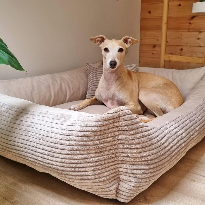 М'яке ліжко для собак 4L Textil Molly - зручне собаче ліжко-корзинка, 60x40 см, бежеве. Знімна та пральна наволочка, підходить для середніх собак.